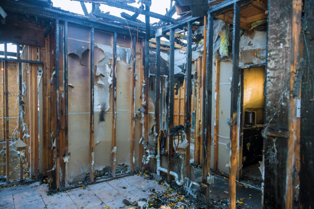 Professional Fire Damage Removal technician working in McLeansboro, IL